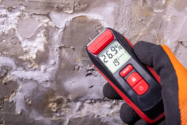 Best Residential Mold Remediation in Purcell, OK