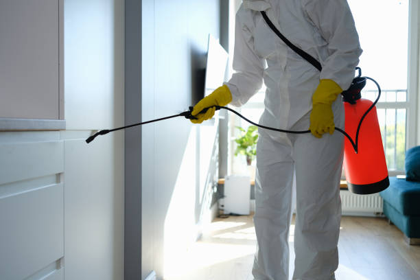 Best HVAC Mold Remediation in Purcell, OK