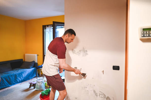 Best Basement Mold Remediation in Purcell, OK