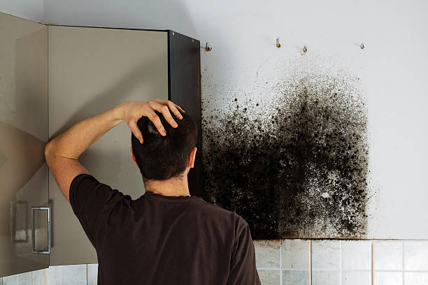 Best Bathroom Mold Remediation in Purcell, OK